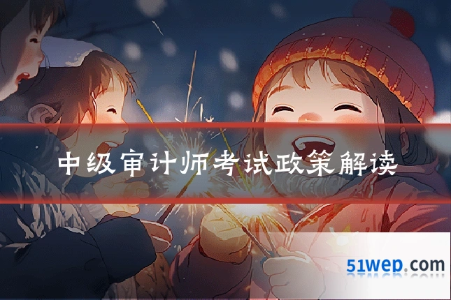 中级审计师考试政策解读