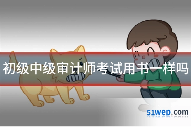 初级中级审计师考试用书一样吗