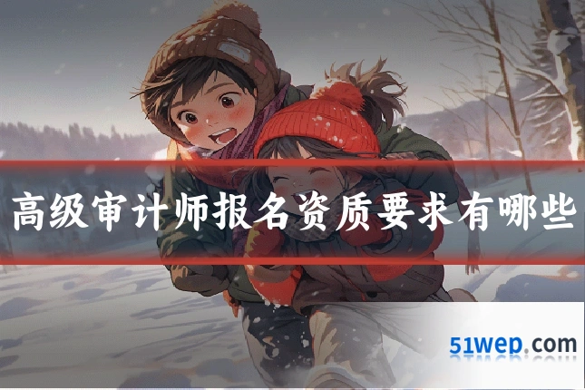 高级审计师报名资质要求有哪些