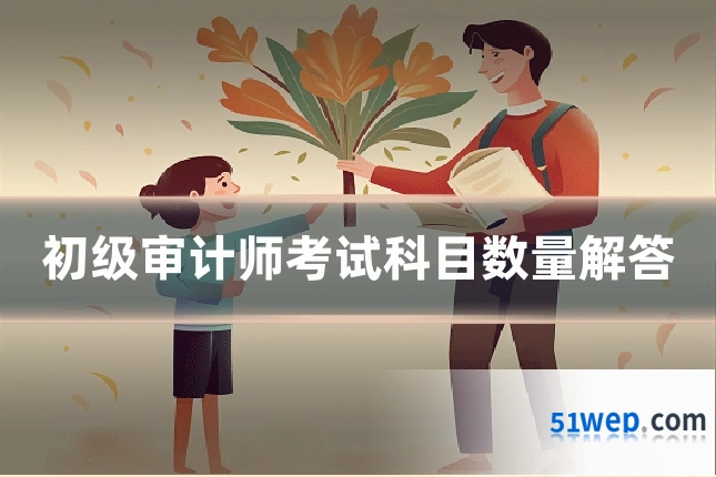初级审计师考试科目数量解答