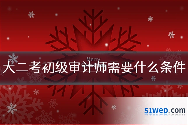 大二考初级审计师需要什么条件