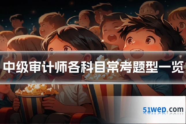 中级审计师各科目常考题型一览