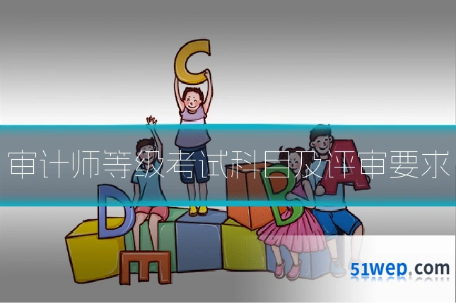 审计师等级考试科目及评审要求
