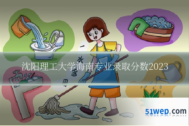 沈阳理工大学海南专业录取分数2023