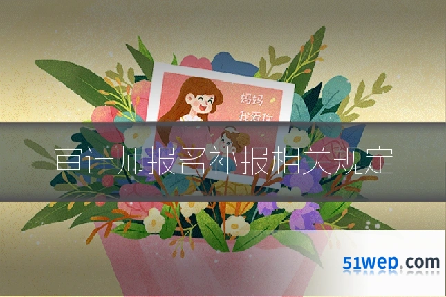 审计师报名补报相关规定
