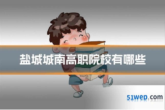 盐城城南高职院校有哪些