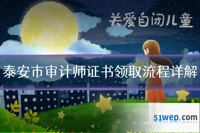 泰安市审计师证书领取流程详解