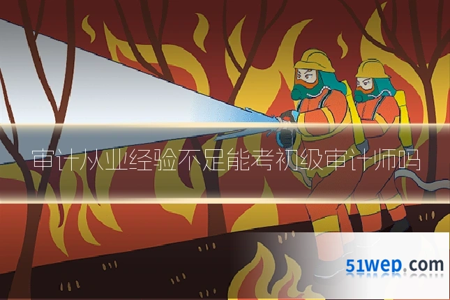 审计从业经验不足能考初级审计师吗
