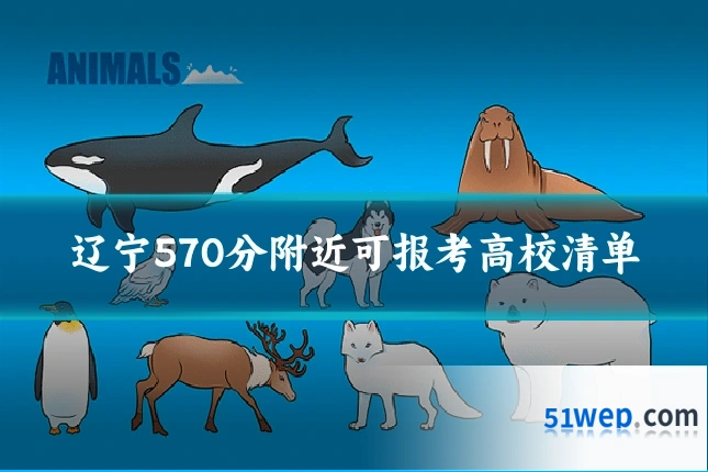 辽宁570分附近可报考高校清单