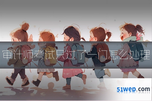 审计师考试只过了一门怎么处理
