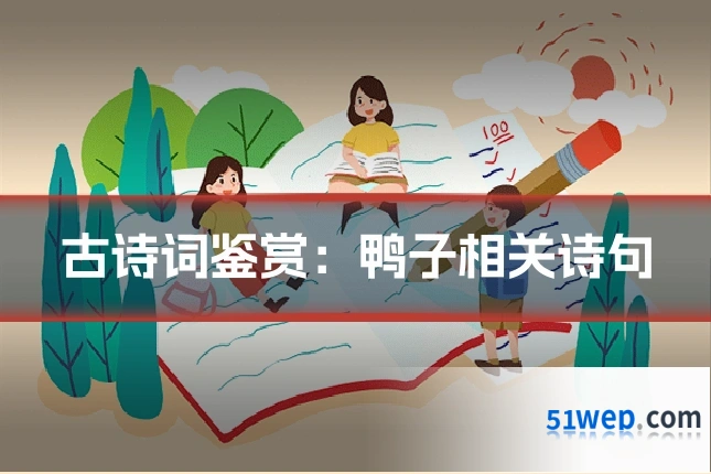 古诗词鉴赏：鸭子相关诗句