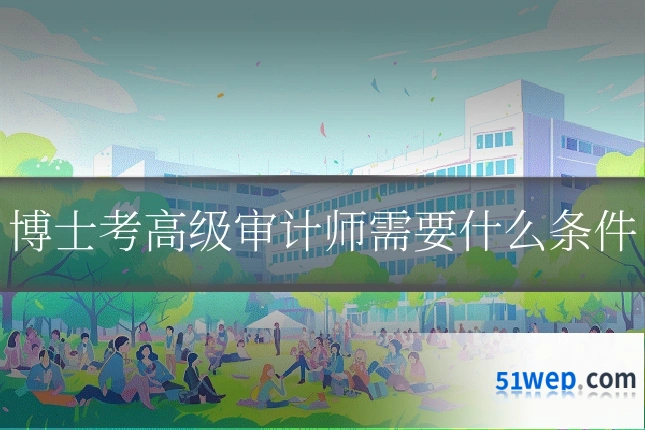 博士考高级审计师需要什么条件