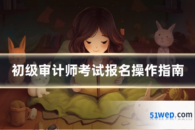 初级审计师考试报名操作指南
