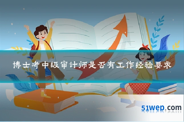 博士考中级审计师是否有工作经验要求
