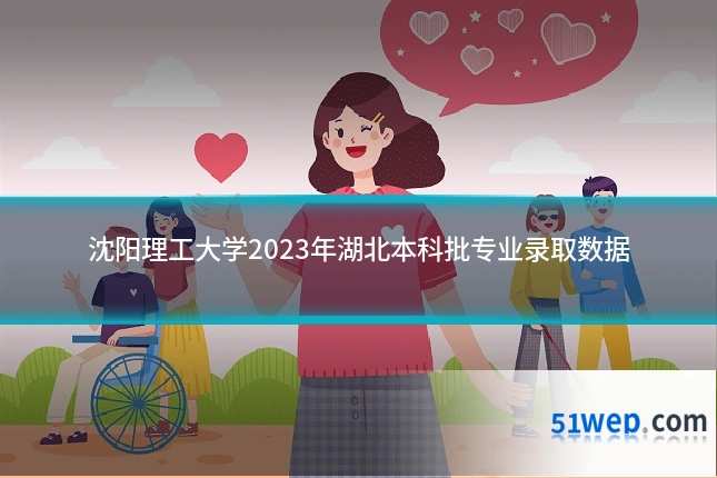 沈阳理工大学2023年湖北本科批专业录取数据