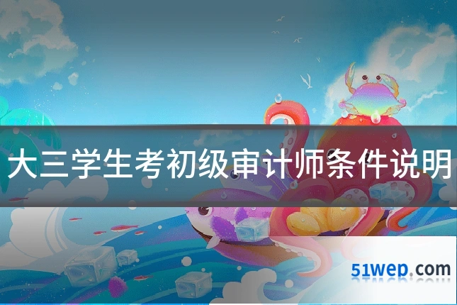 大三学生考初级审计师条件说明