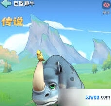 奔奔王国四代宠物培养指南