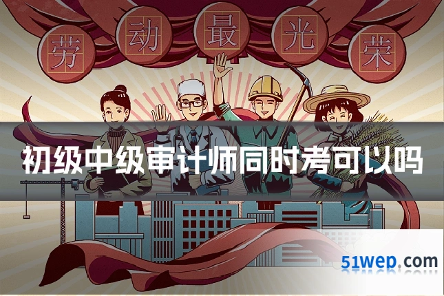 初级中级审计师同时考可以吗