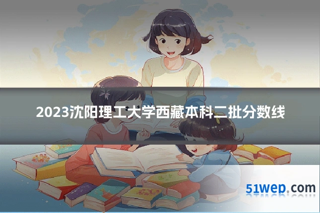 2023沈阳理工大学西藏本科二批分数线