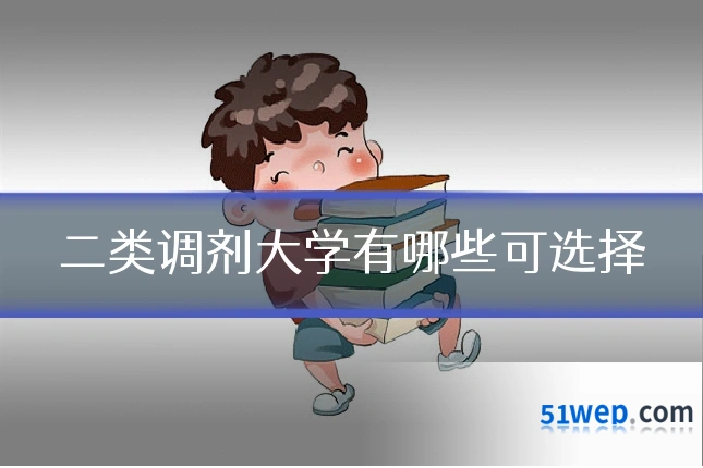 二类调剂大学有哪些可选择