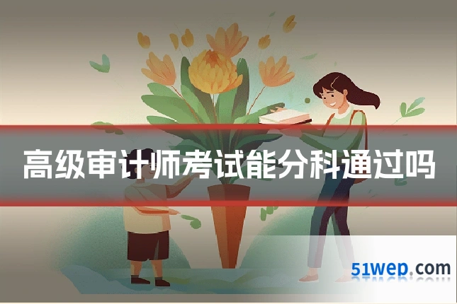 高级审计师考试能分科通过吗