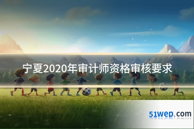 宁夏2020年审计师资格审核要求