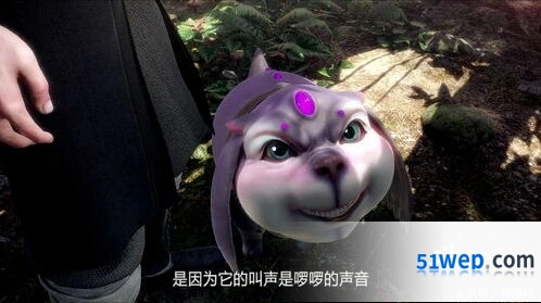 斗罗大陆诺丁城精致宝箱详细攻略