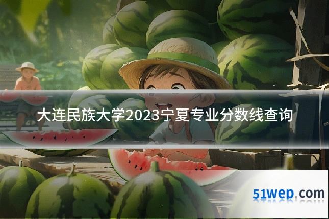 大连民族大学2023宁夏专业分数线查询