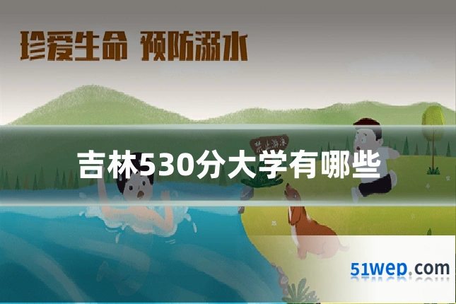 吉林530分大学有哪些