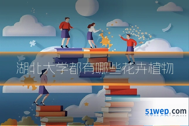 湖北大学都有哪些花卉植物