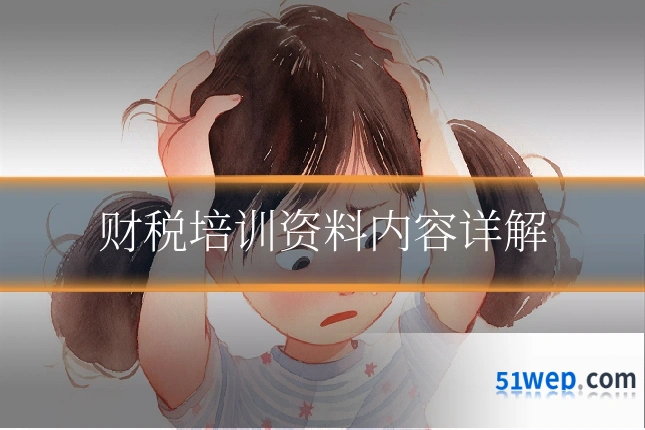 财税培训资料内容详解