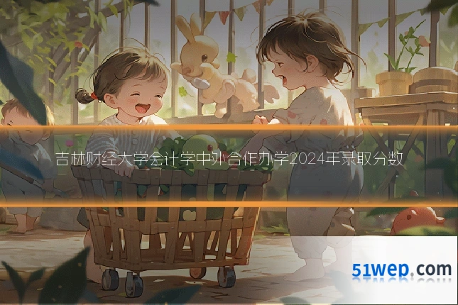 吉林财经大学会计学中外合作办学2024年录取分数