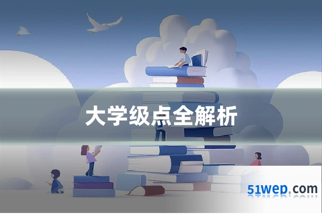 大学级点全解析