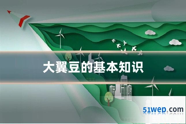 大翼豆的基本知识