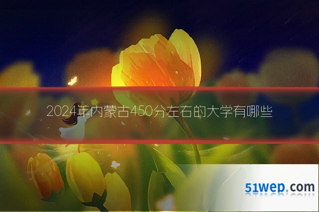2024年内蒙古450分左右的大学有哪些