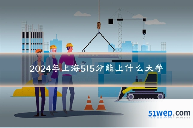2024年上海515分能上什么大学
