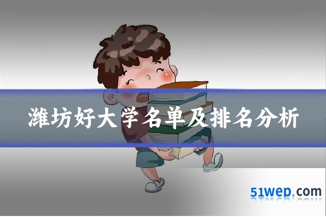 潍坊好大学名单及排名分析