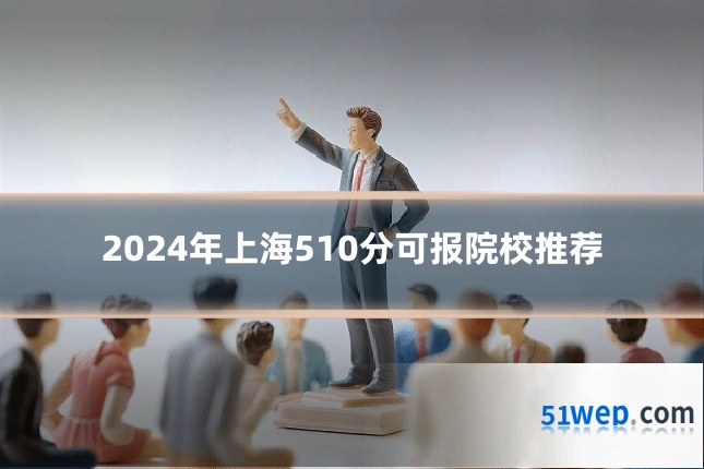 2024年上海510分可报院校推荐