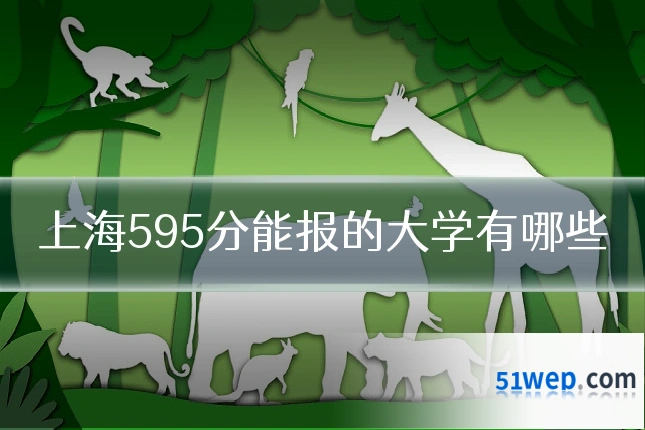 上海595分能报的大学有哪些