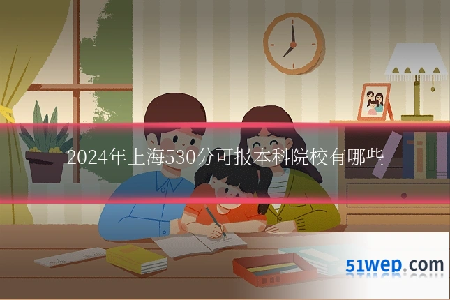 2024年上海530分可报本科院校有哪些