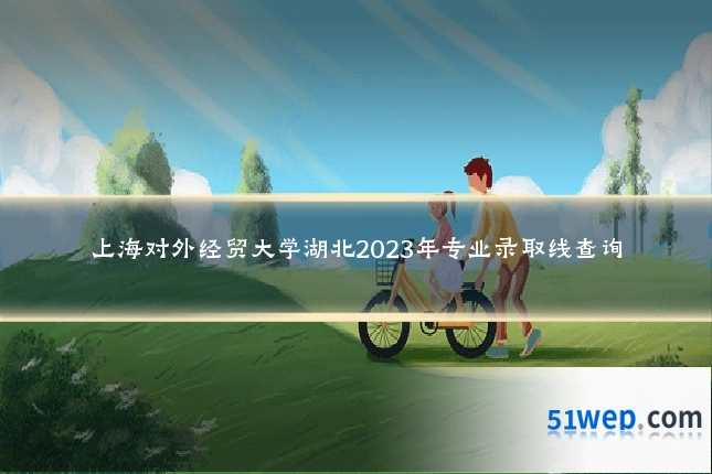 上海对外经贸大学湖北2023年专业录取线查询