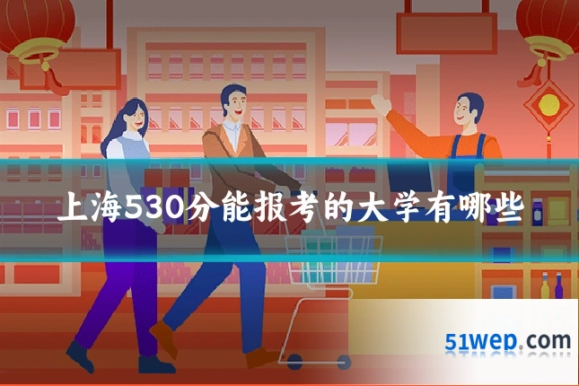 上海530分能报考的大学有哪些