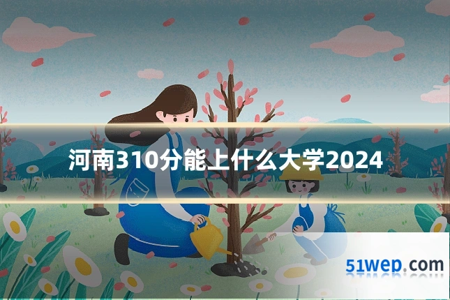 河南310分能上什么大学2024