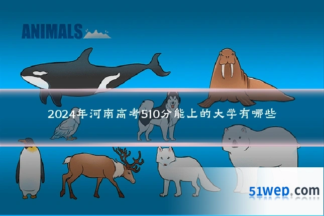 2024年河南高考510分能上的大学有哪些