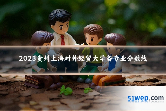2023贵州上海对外经贸大学各专业分数线