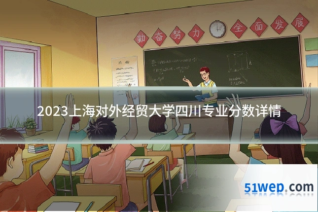 2023上海对外经贸大学四川专业分数详情