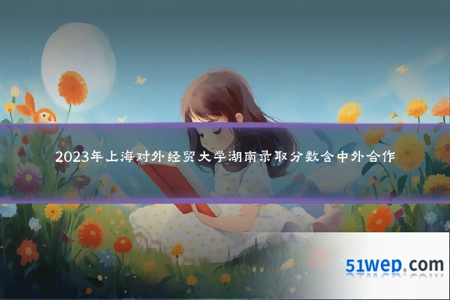 2023年上海对外经贸大学湖南录取分数含中外合作