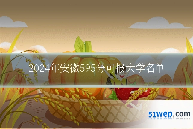 2024年安徽595分可报大学名单