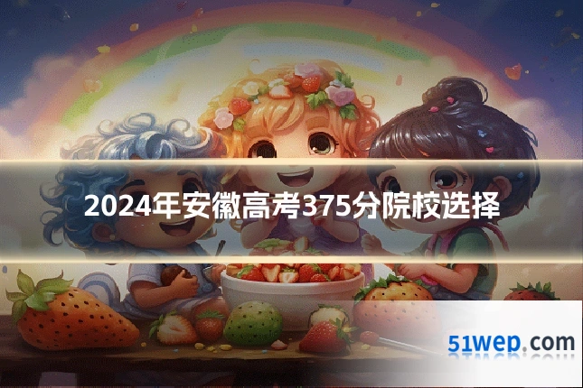 2024年安徽高考375分院校选择