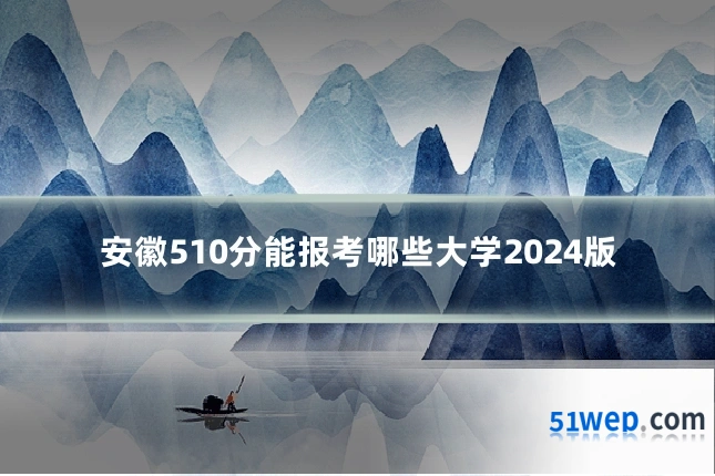 安徽510分能报考哪些大学2024版